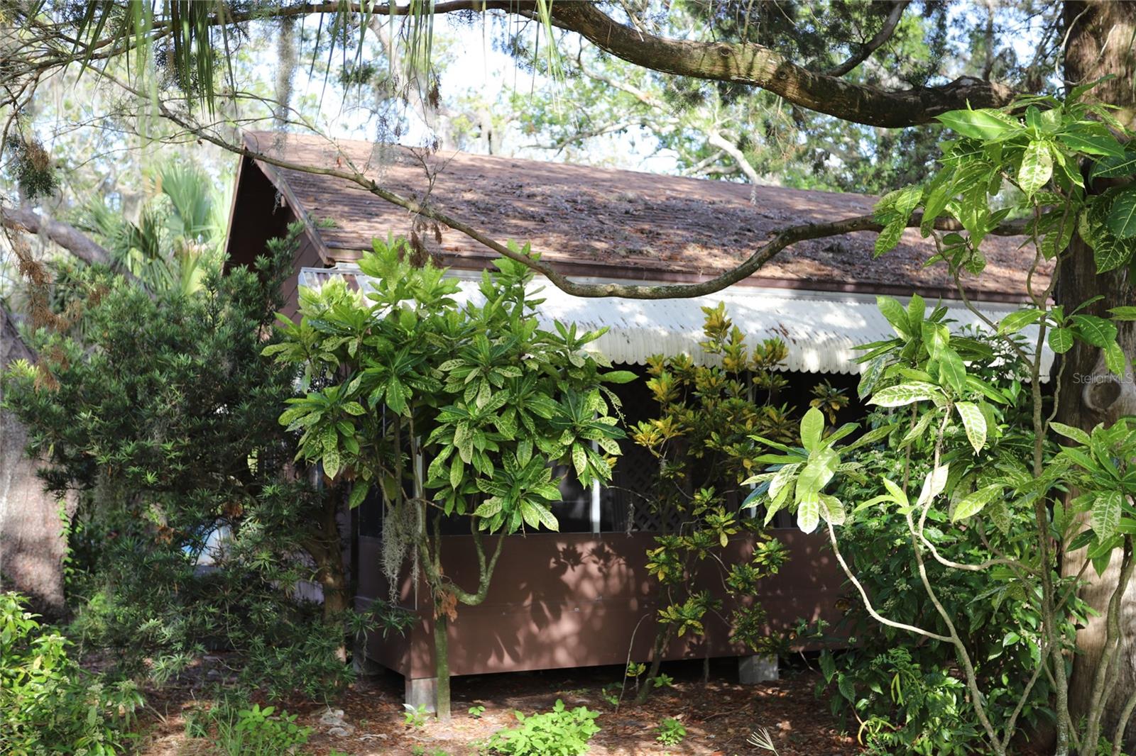 260 Orange, Palm Harbor, FL 34683