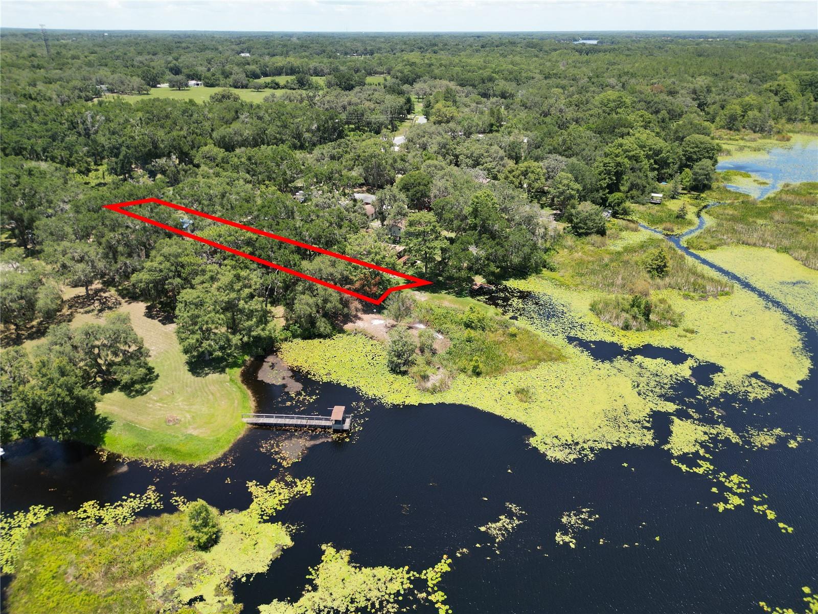 8781 Lakeshore, Floral City, FL 34436