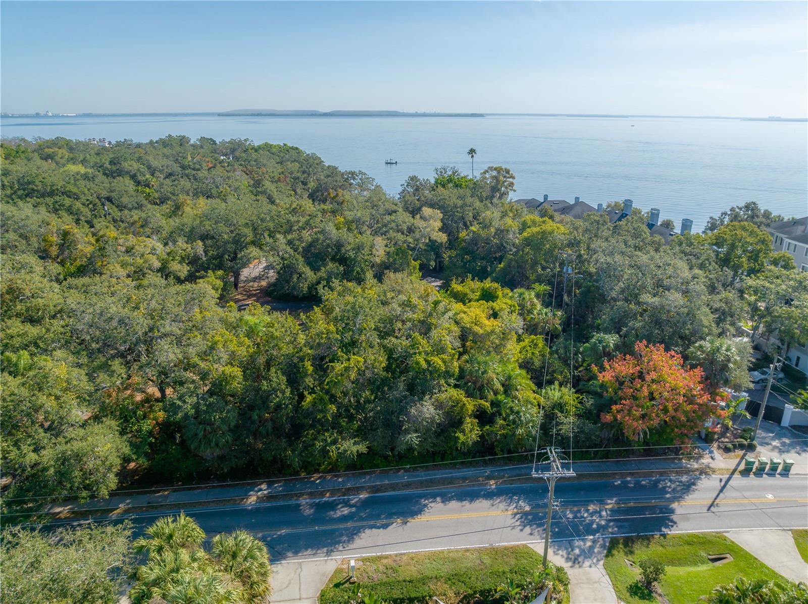 6210 Bayshore, Tampa, FL 33611