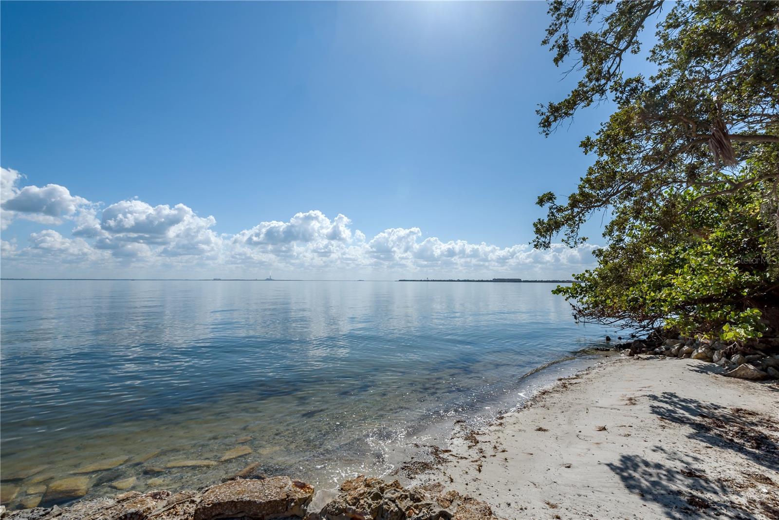 6210 Bayshore, Tampa, FL 33611