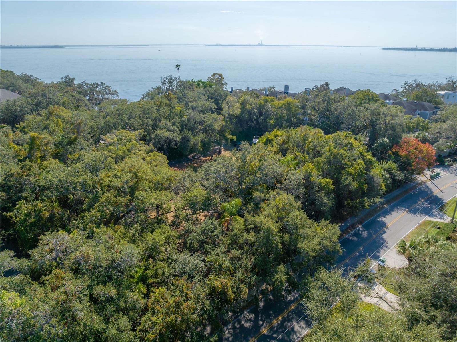 6210 Bayshore, Tampa, FL 33611