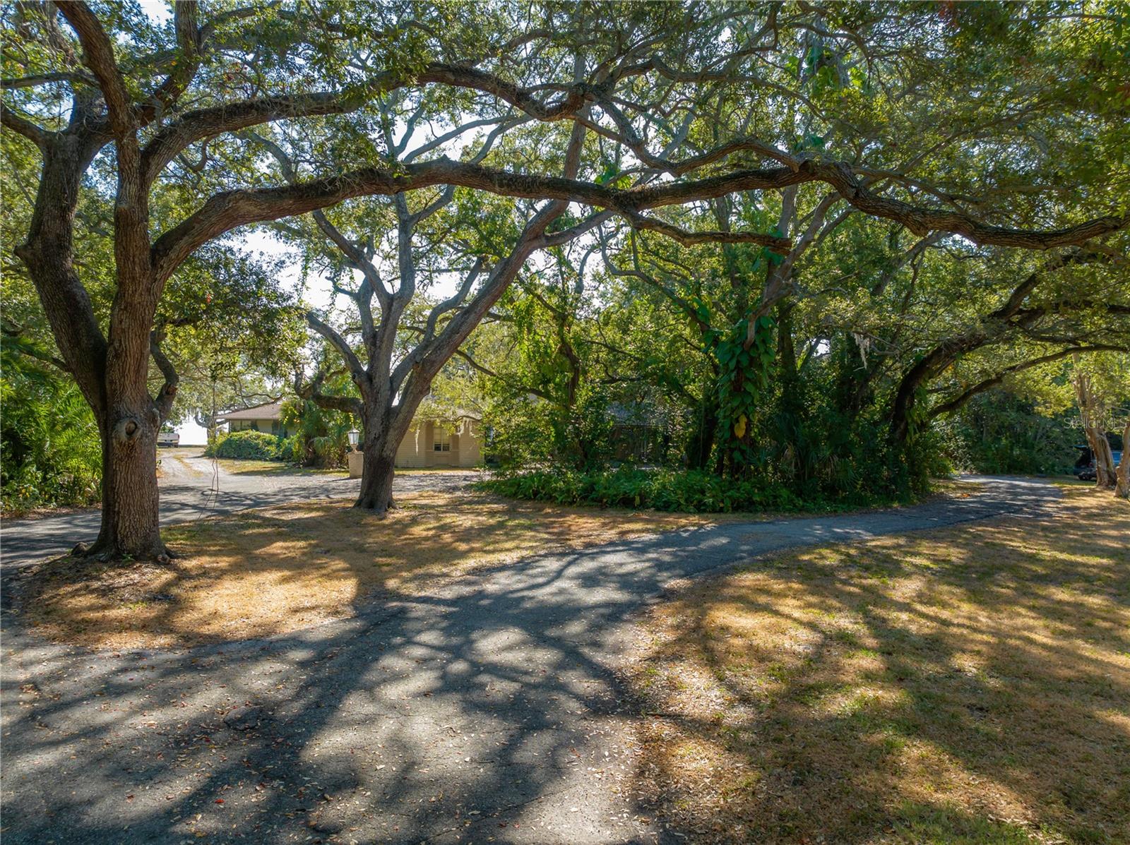 6210 Bayshore, Tampa, FL 33611