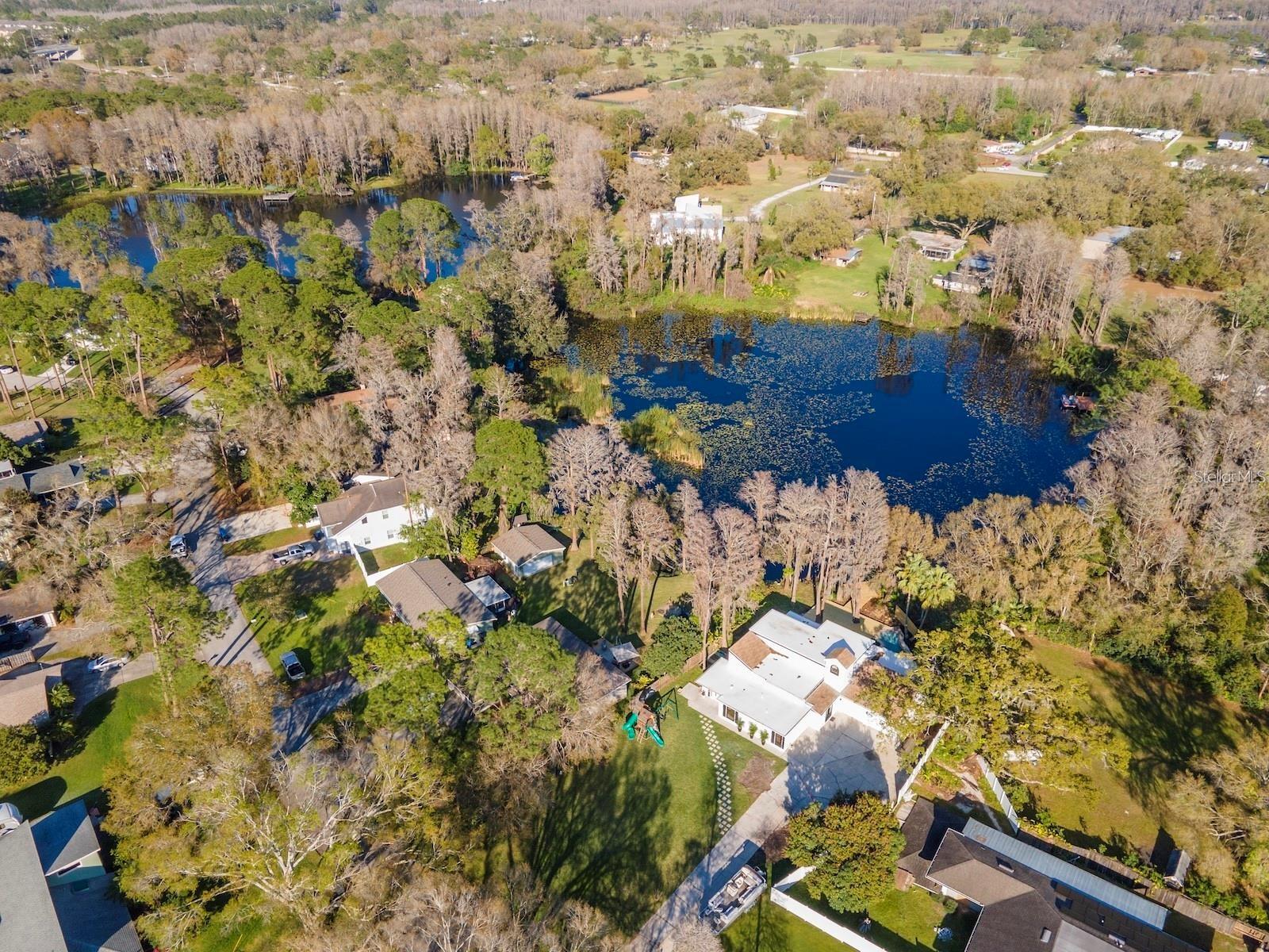 17017 Paula, Lutz, FL 33558