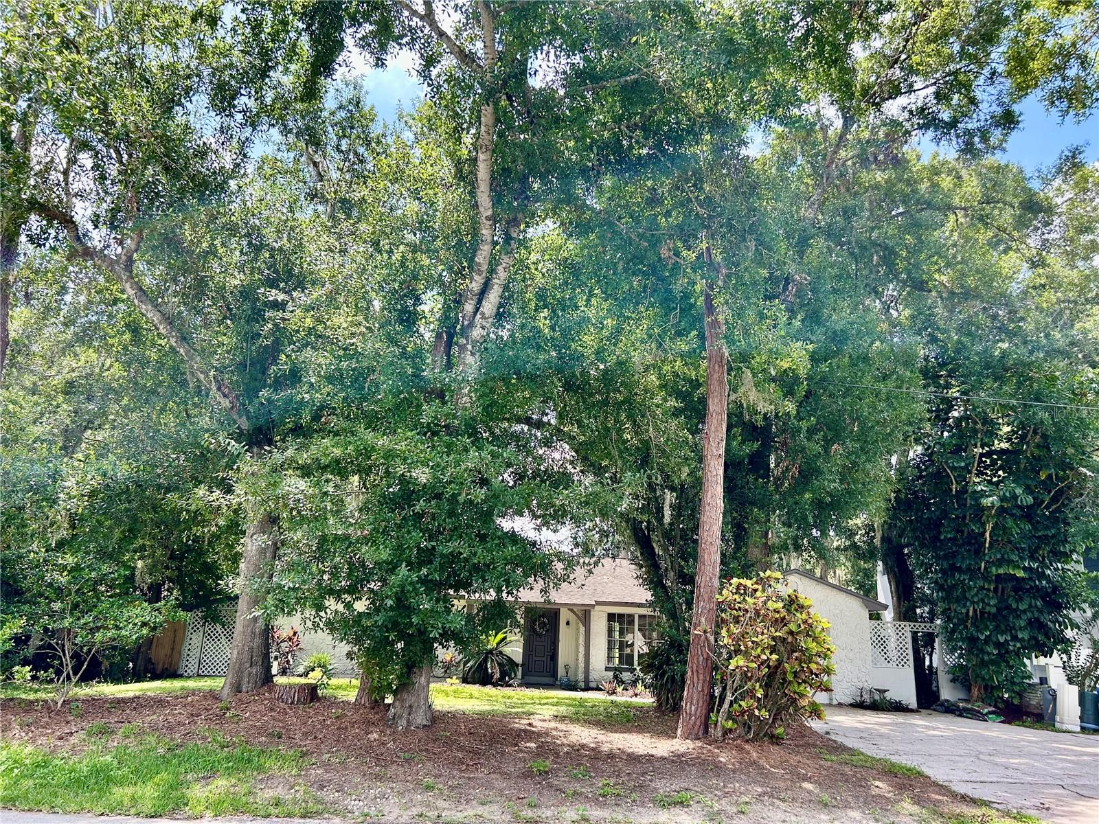 17017 Paula, Lutz, FL 33558