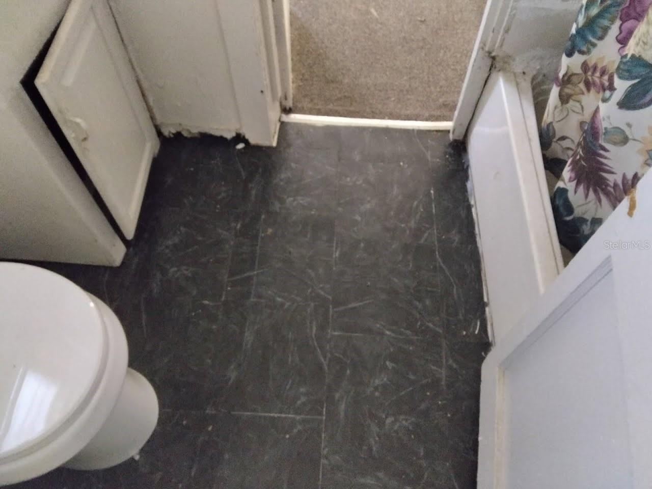 1102 13th, Lakeland, FL 33805