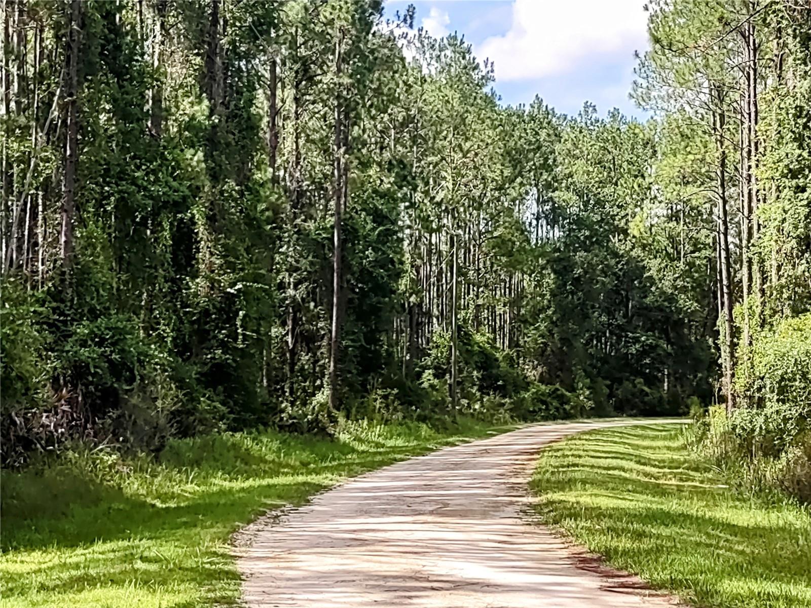 4651 108th, Chiefland, FL 32626