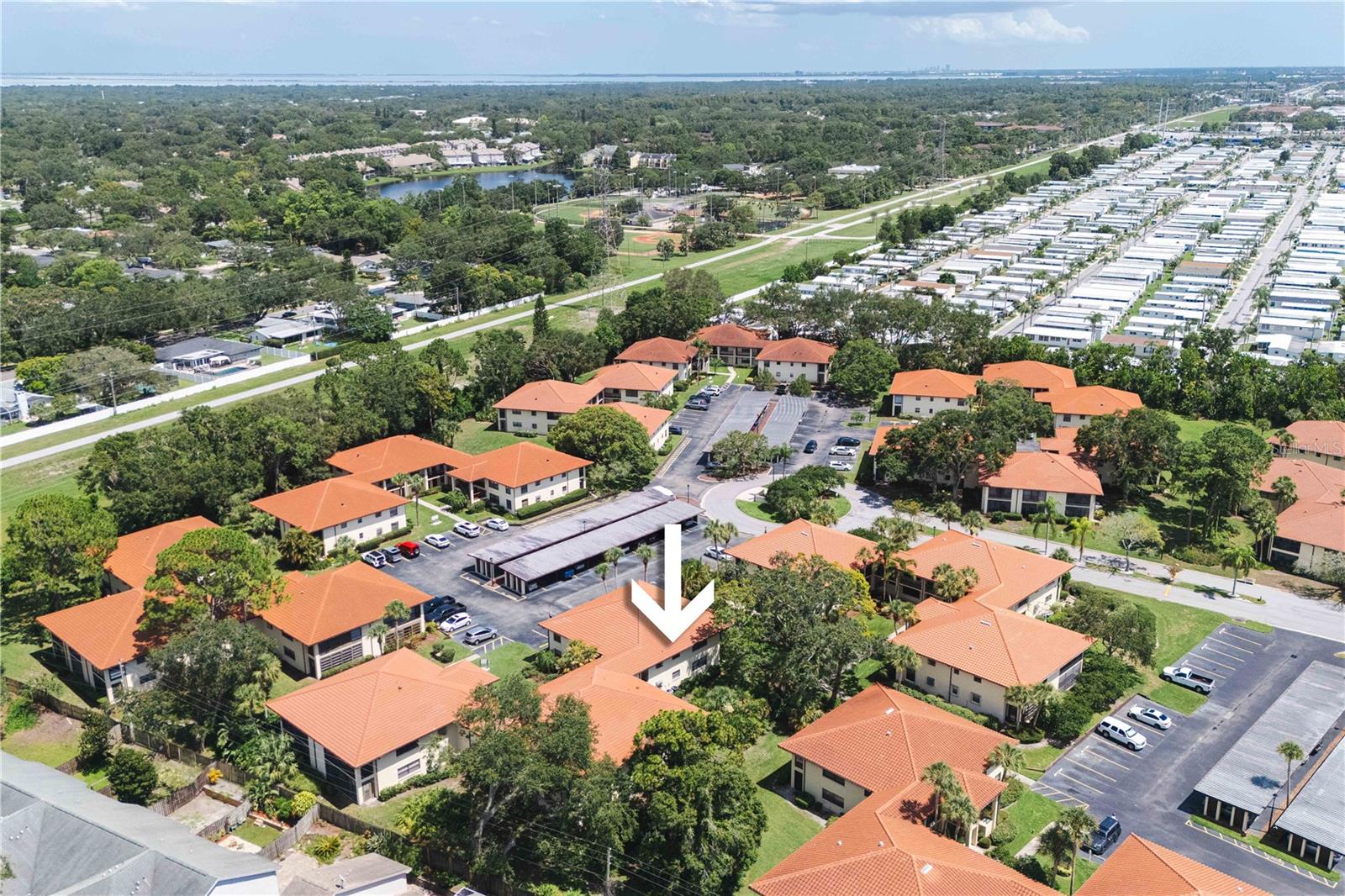 1109 Hammock Pine, Clearwater, FL 33761