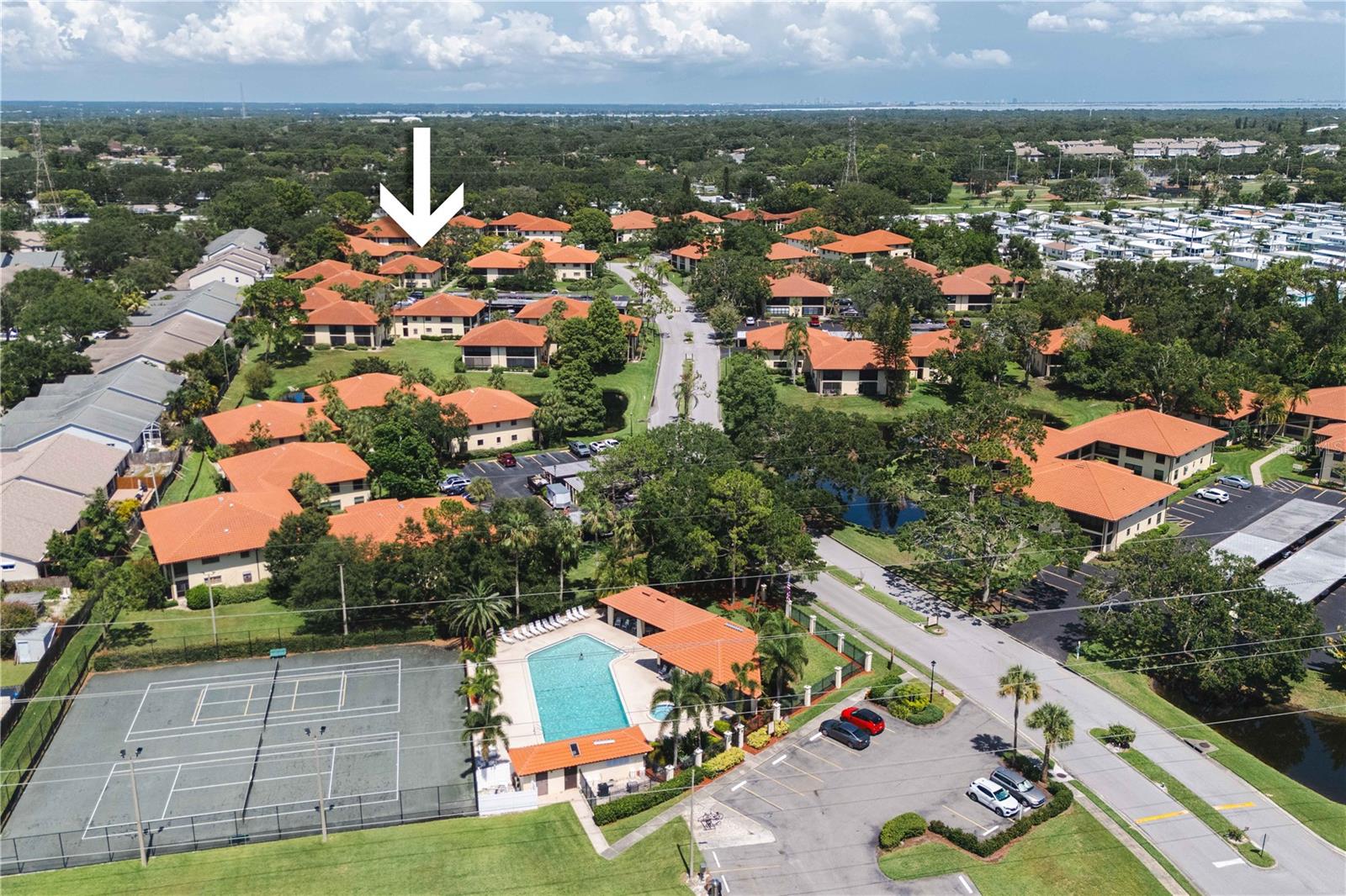 1109 Hammock Pine, Clearwater, FL 33761