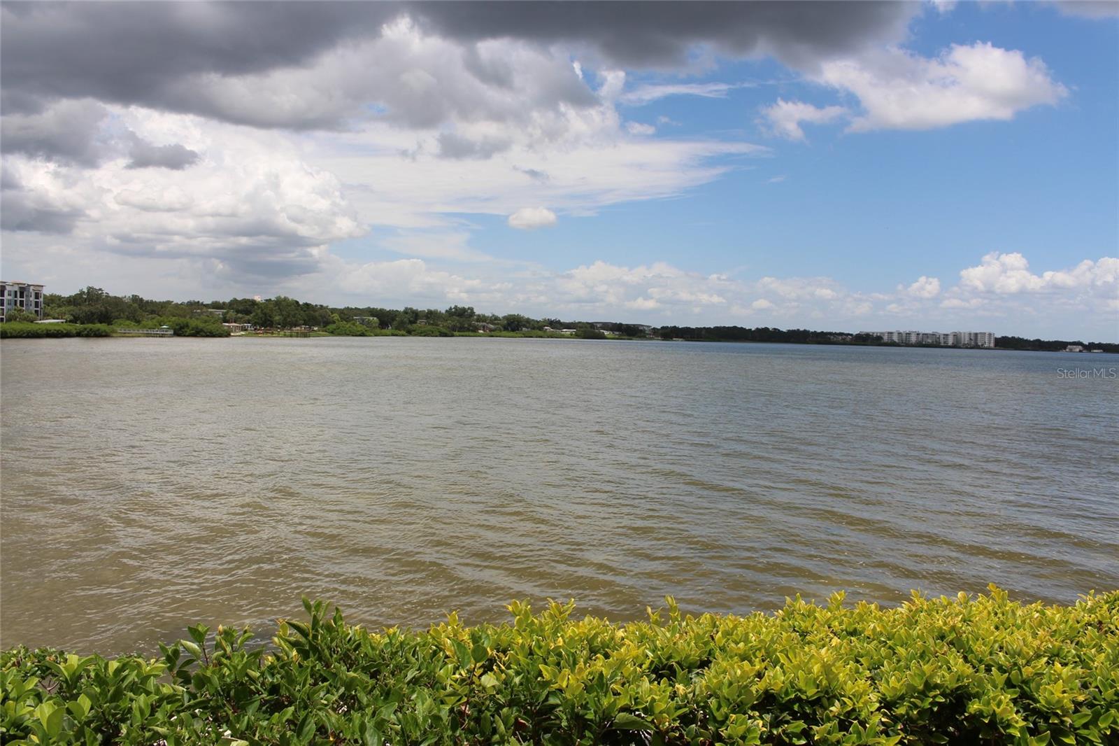 19029 Us Highway 19 Unit 16c, Clearwater, FL 33764