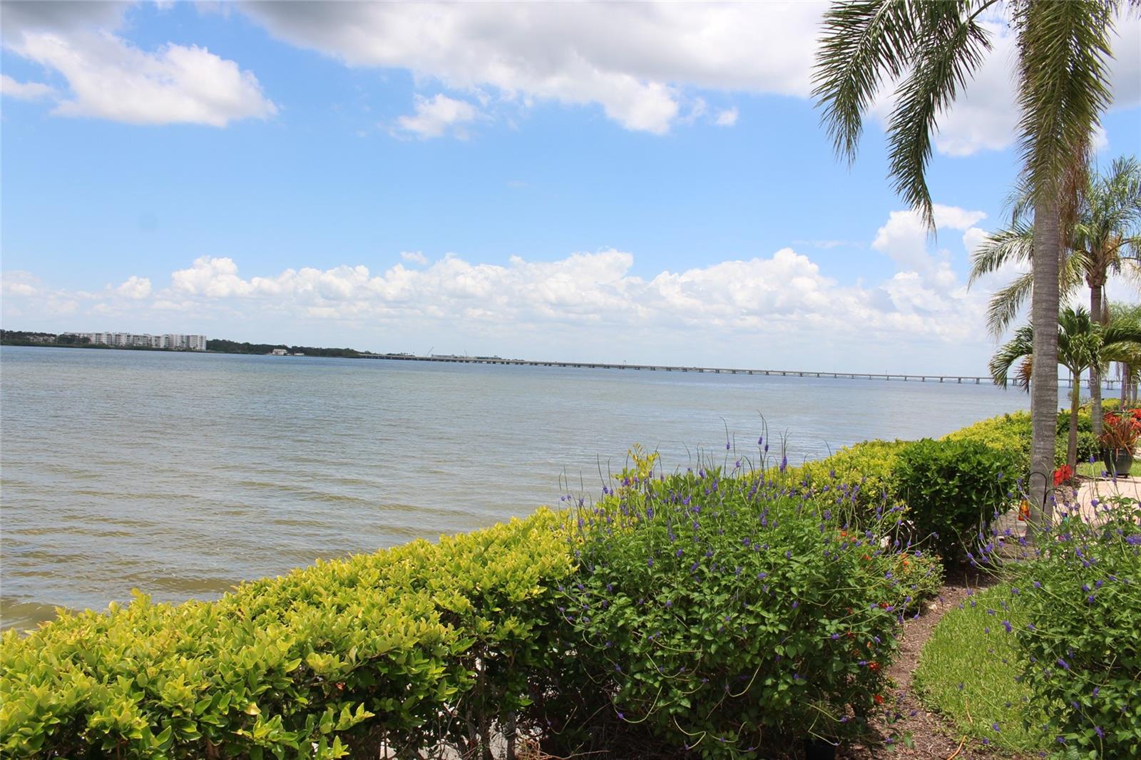 19029 Us Highway 19 Unit 16c, Clearwater, FL 33764