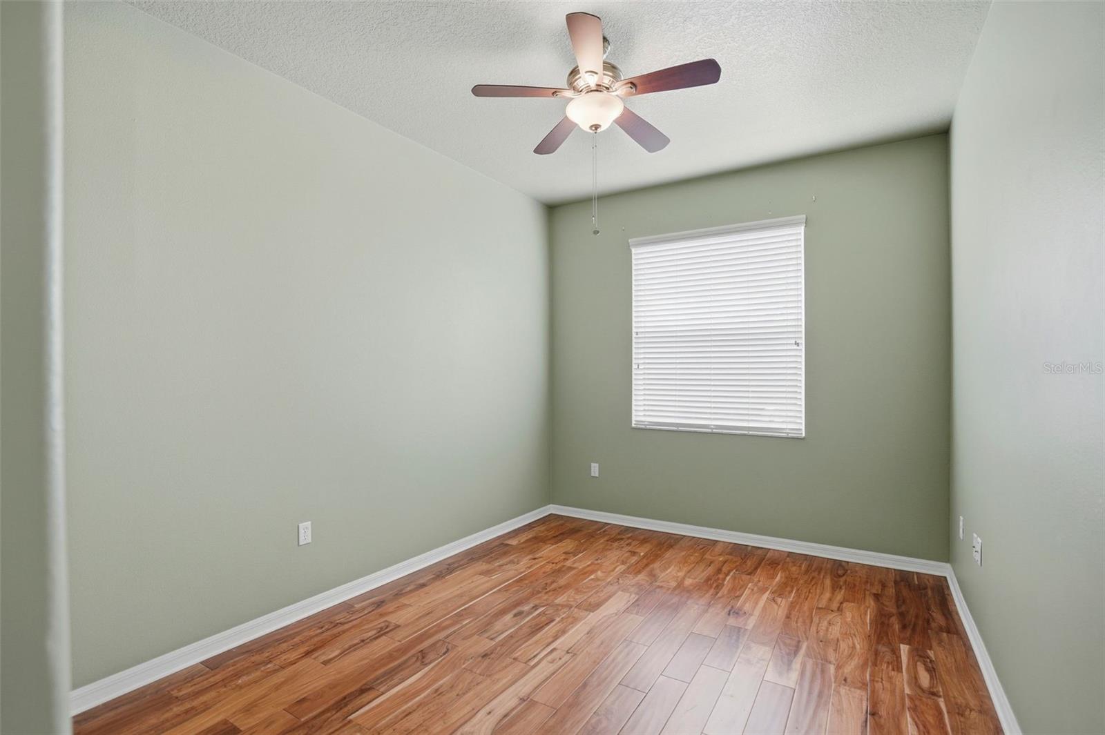 8005 Shaddock, Land O Lakes, FL 34637