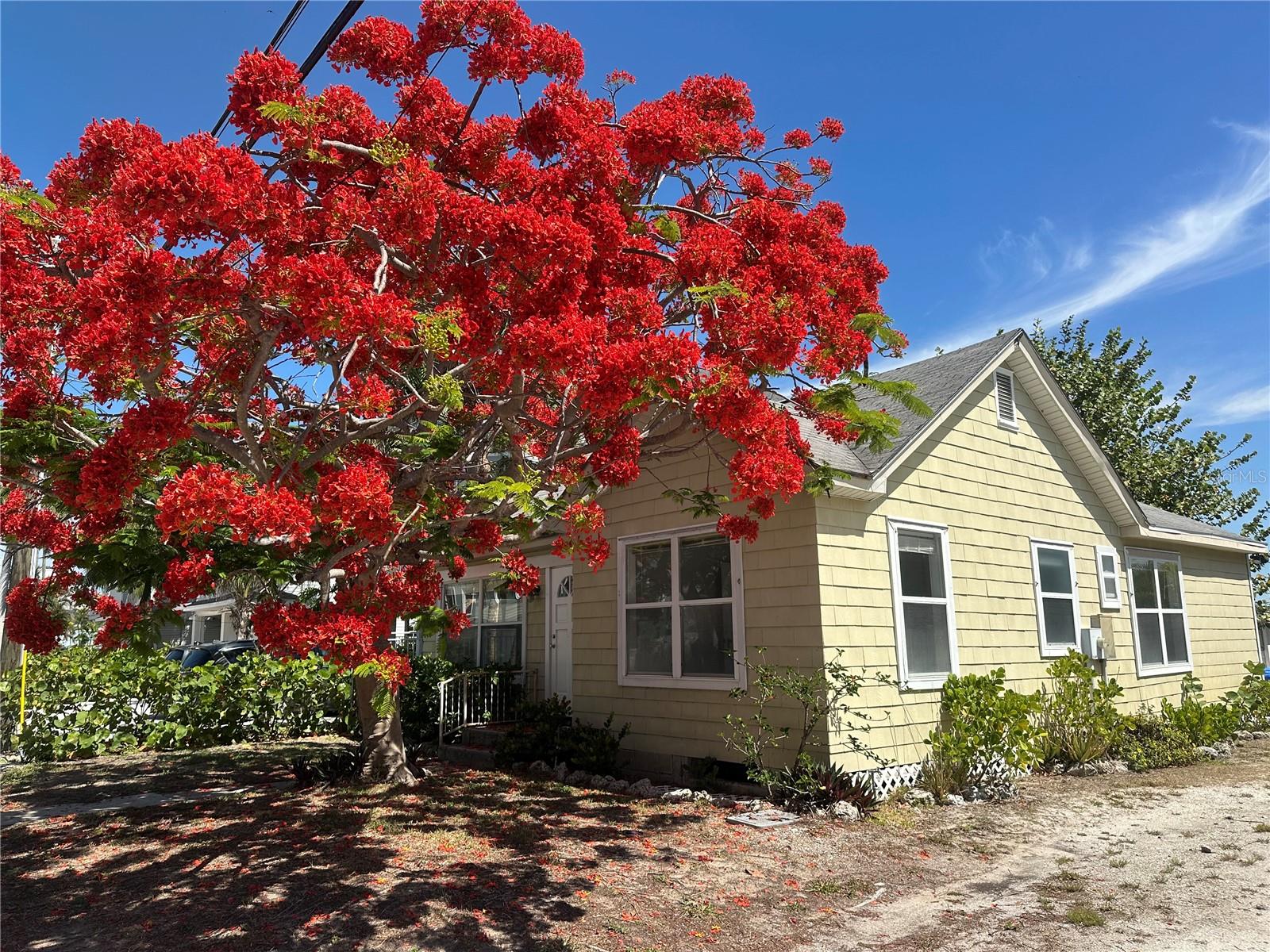 8405 Bayshore, Treasure Island, FL 33706