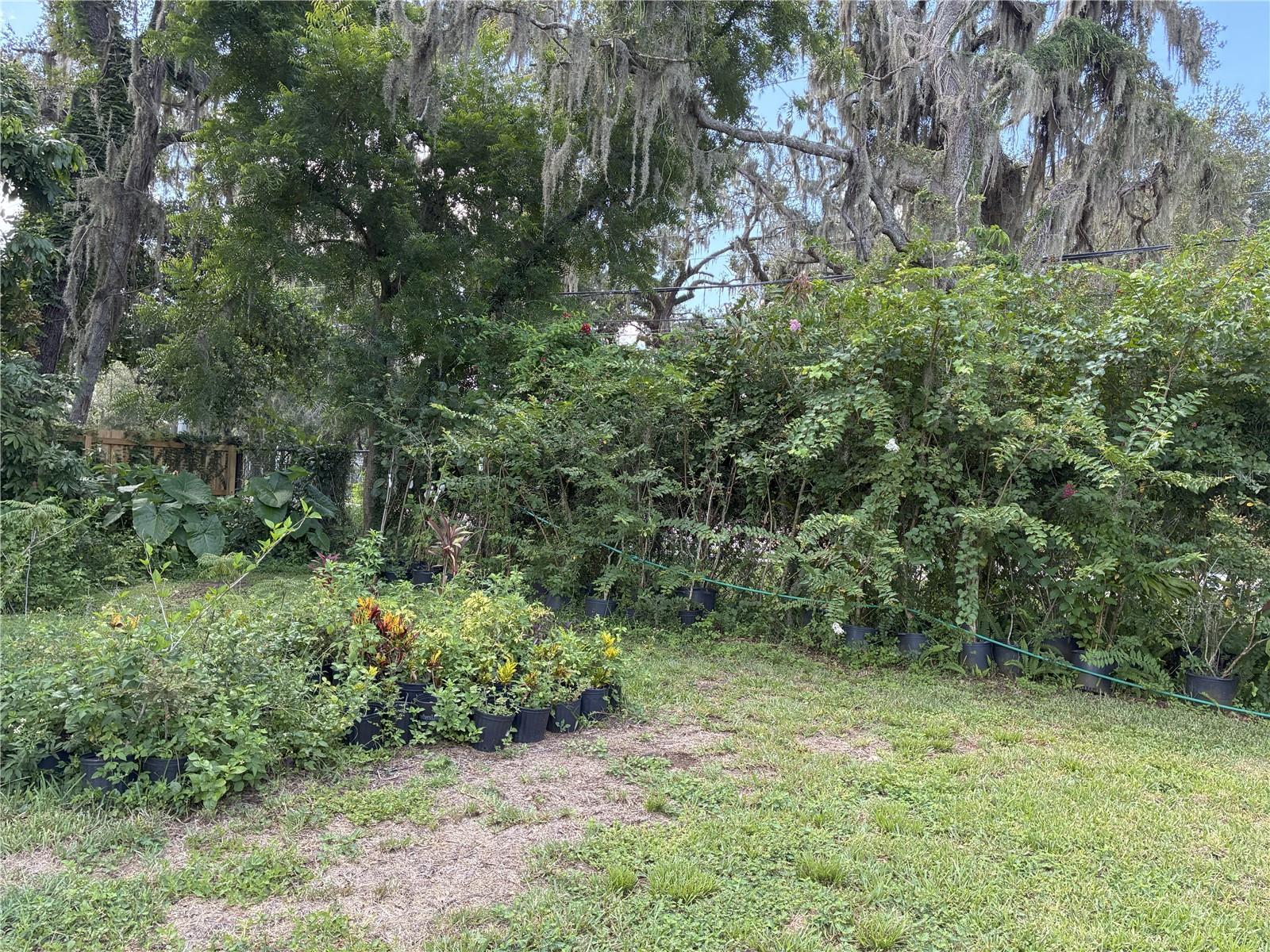3016 Bloomingdale, Valrico, FL 33596