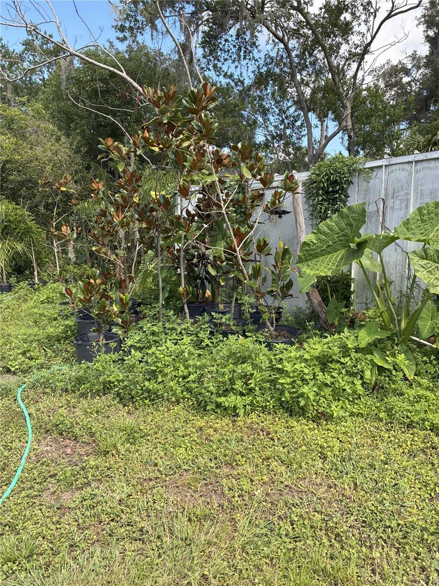 3016 Bloomingdale, Valrico, FL 33596