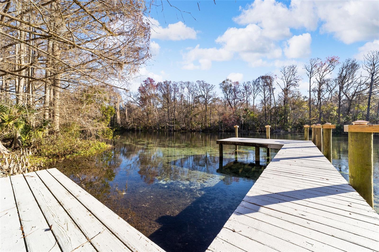 10801 185th, Dunnellon, FL 34432