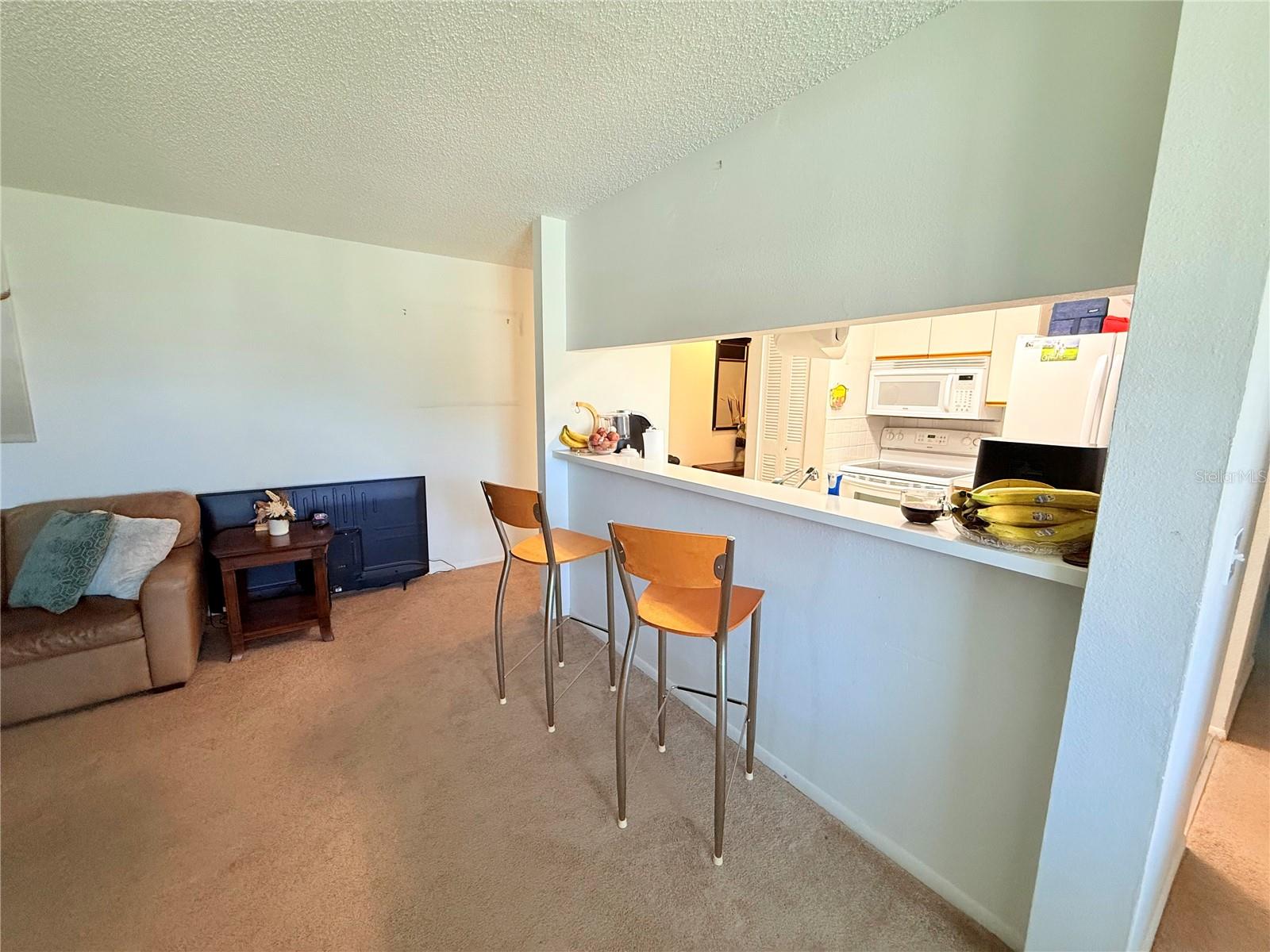 3001 58th Unit 1002, St Petersburg, FL 33712