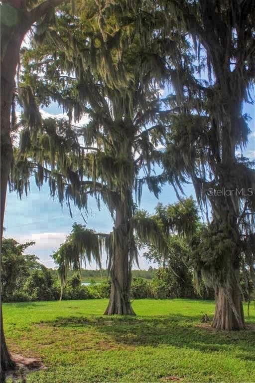 0 Jennings Fish Camp, Lake Wales, FL 33898