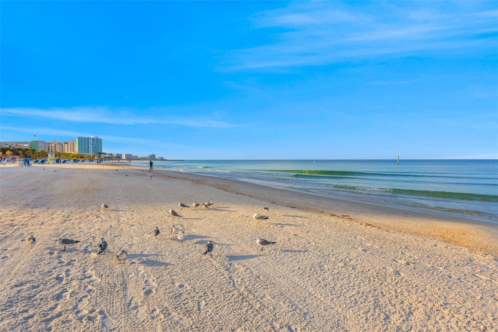1024 Eldorado, Clearwater Beach, FL 33767