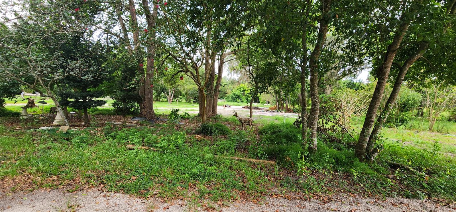 711 Sunset, Orange City, FL 32763
