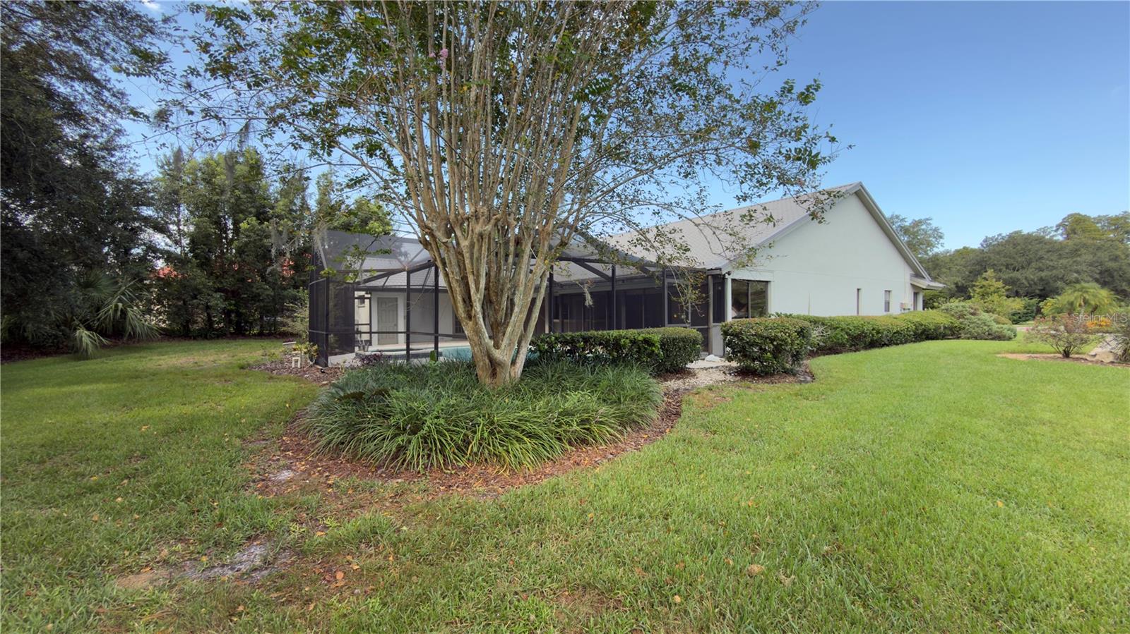 5040 Pinelake, Wesley Chapel, FL 33543
