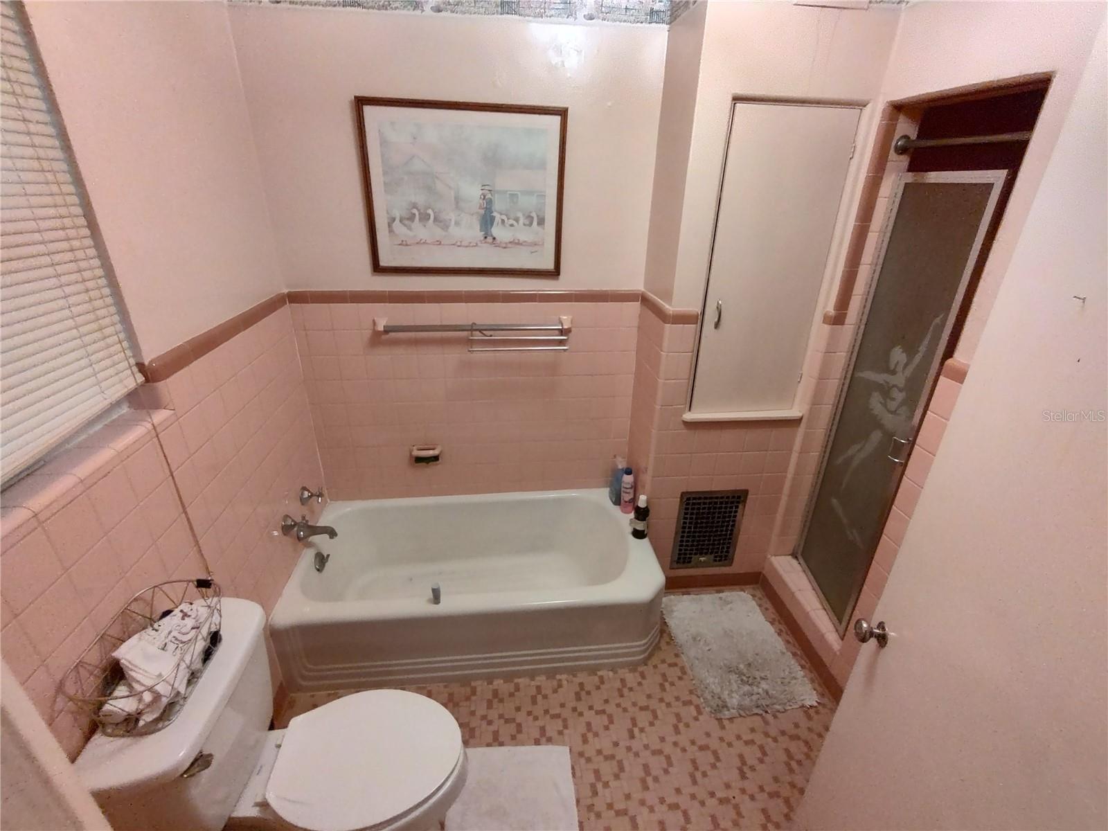995 11th, Mount Dora, FL 32757