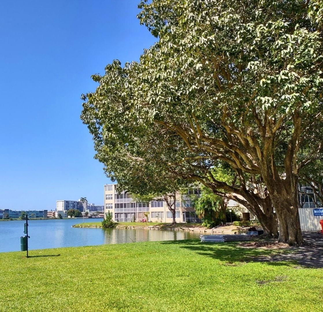 1690 191st Unit 315, Miami, FL 33179