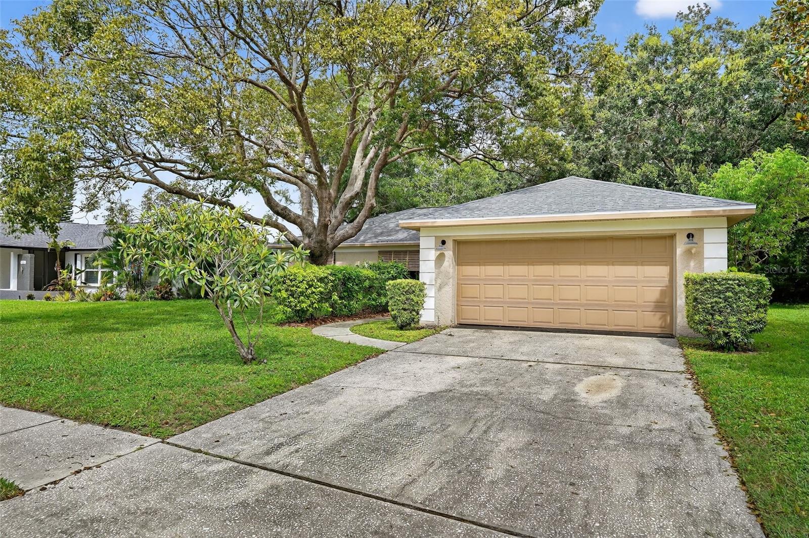 3602 Player, New Port Richey, FL 34655