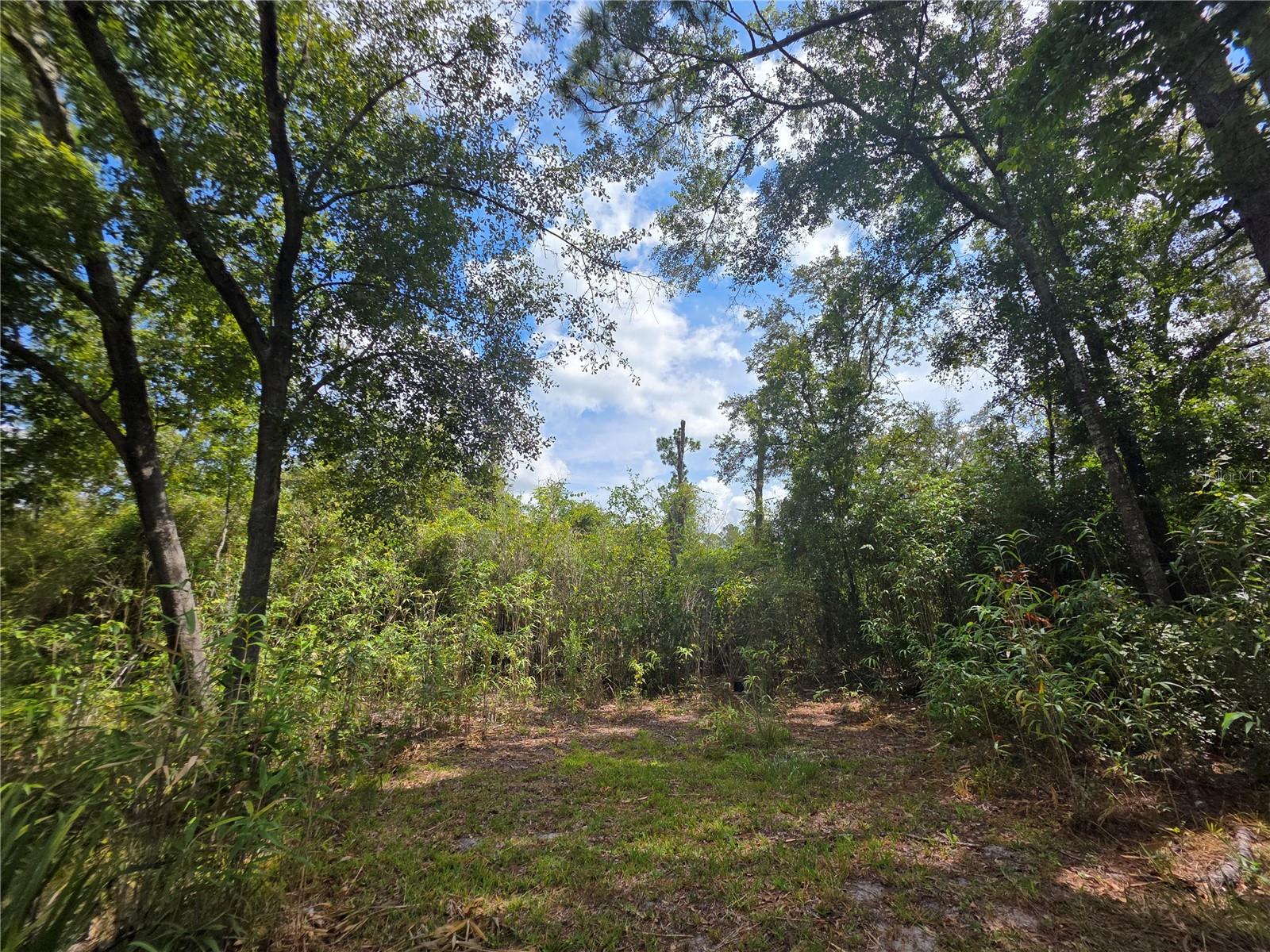 13117 County Road 225, Gainesville, FL 32609