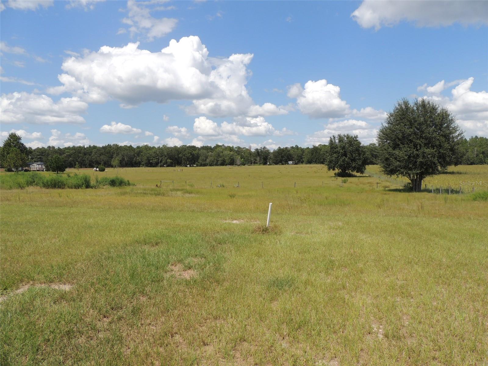 9871 60th, Bronson, FL 32621