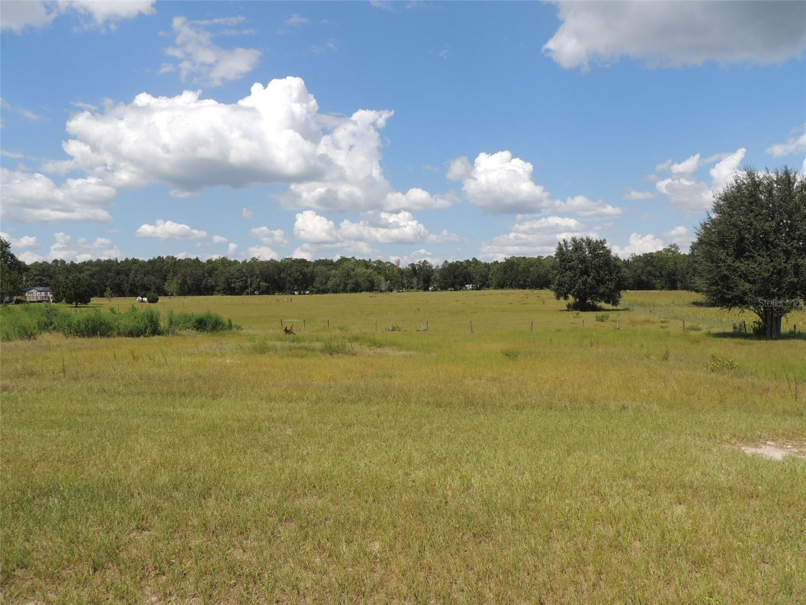 9871 60th, Bronson, FL 32621