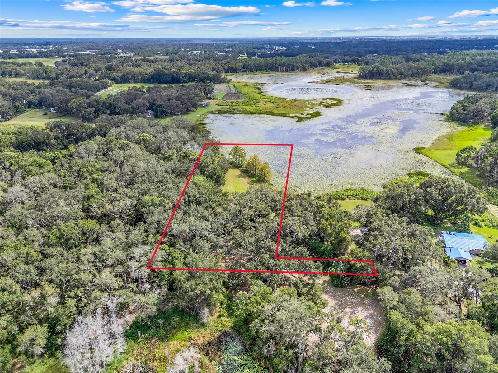 1440 Selman, Leesburg, FL 34748