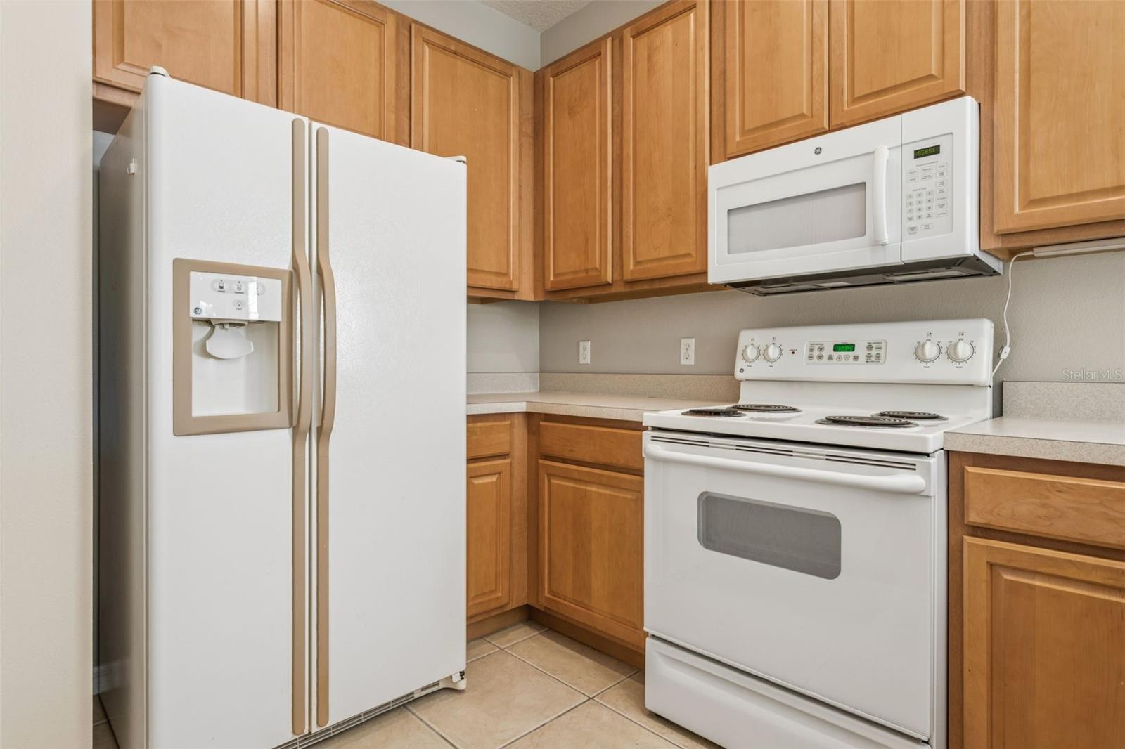 20312 Noble Oak, Tampa, FL 33647