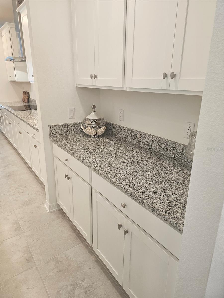 2450 Sunny Pebble, Zephyrhills, FL 33540