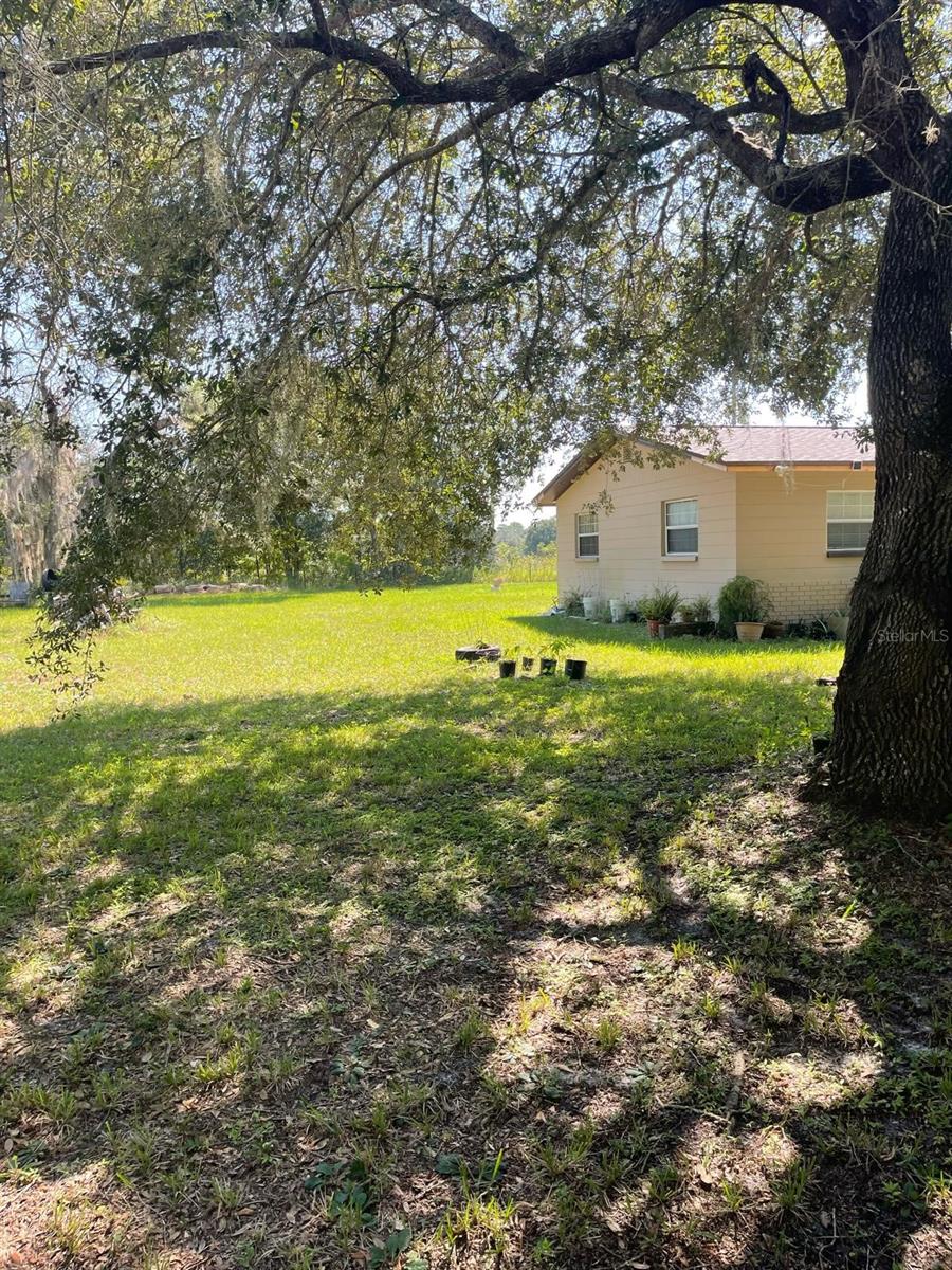 11433 Rosewater, Homosassa, FL 34446