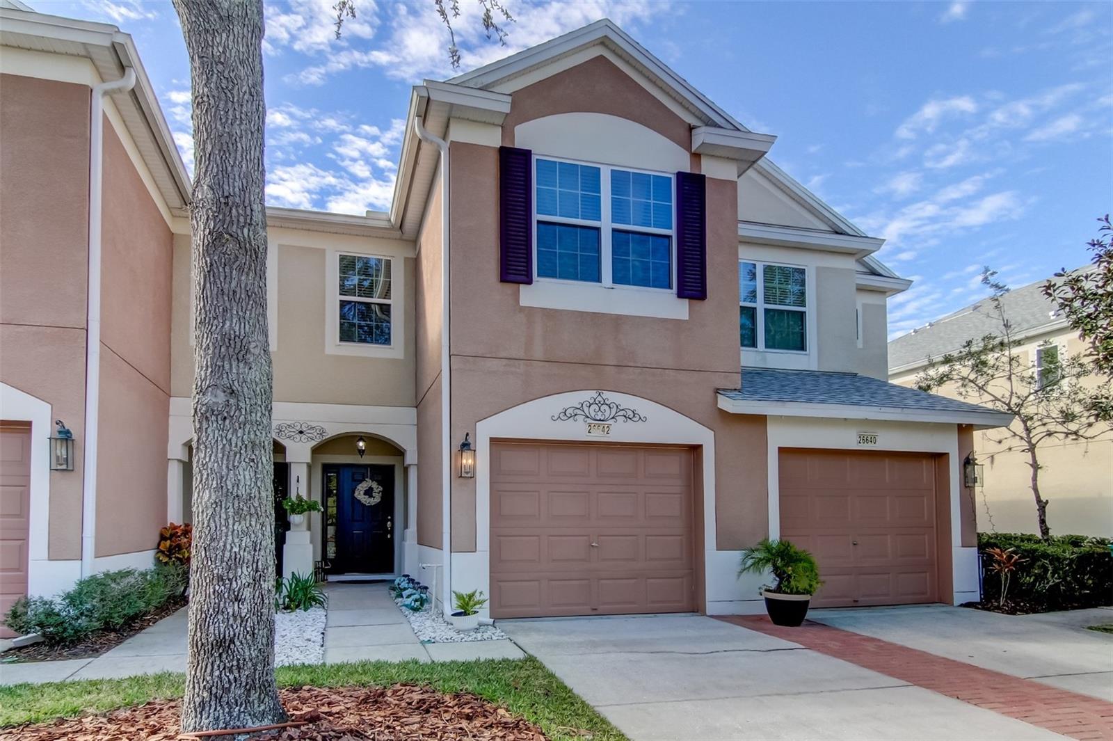 26642 Castleview, Wesley Chapel, FL 33544
