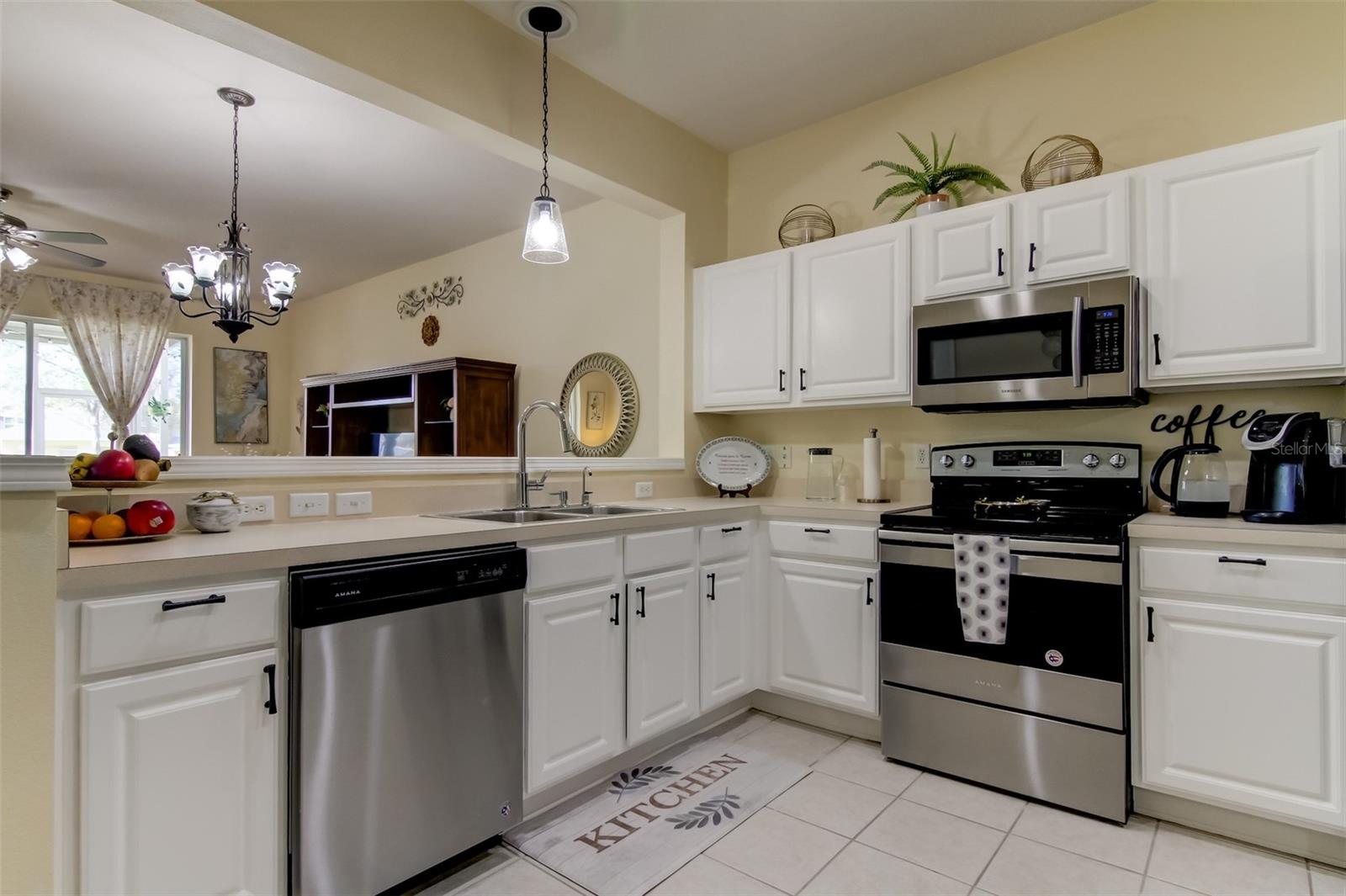 26642 Castleview, Wesley Chapel, FL 33544