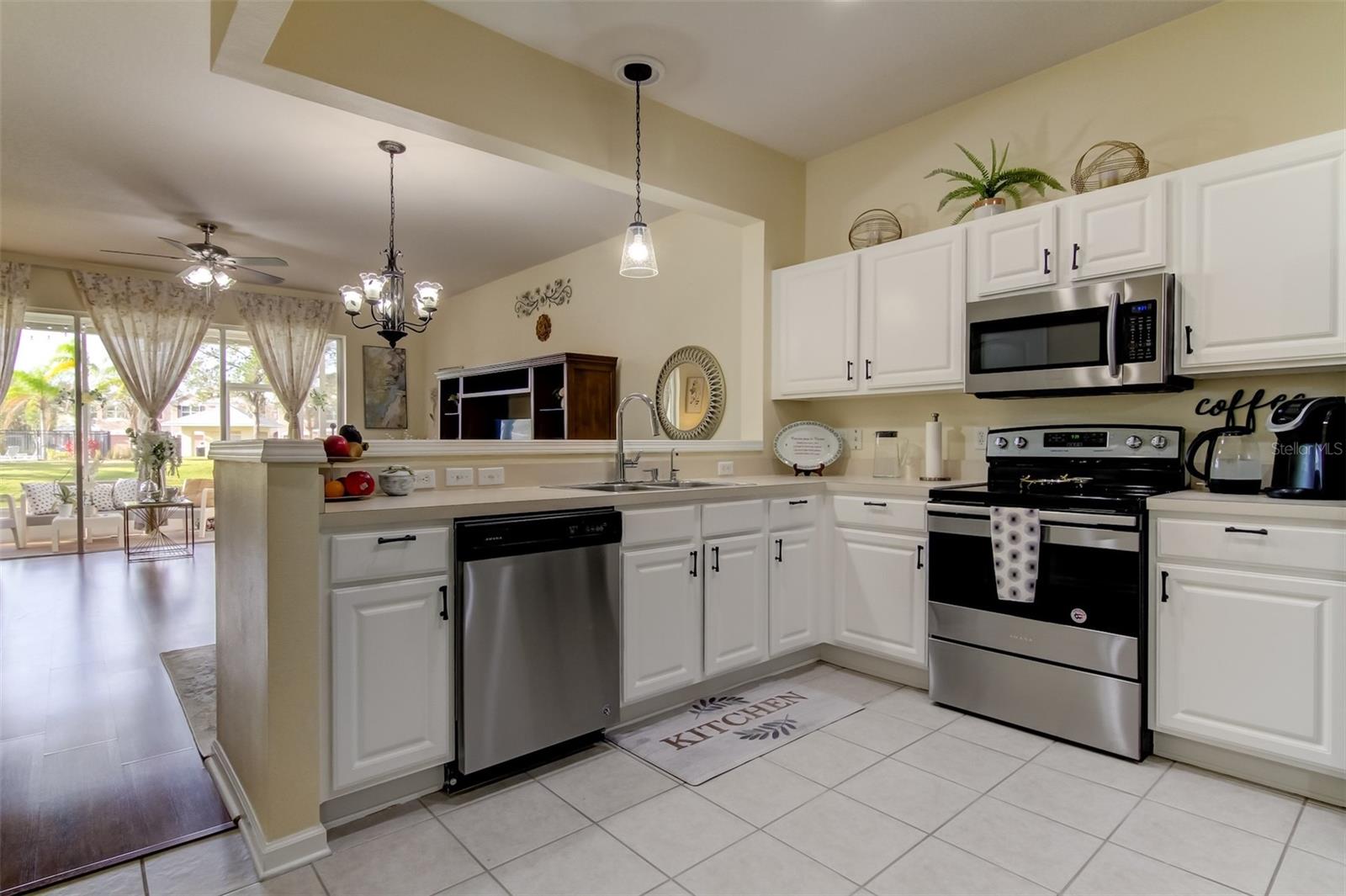 26642 Castleview, Wesley Chapel, FL 33544