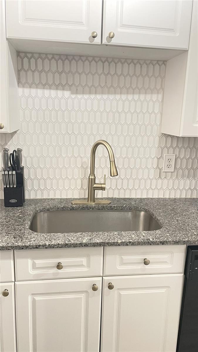 4221 Spruce Unit 1107, Tampa, FL 33607