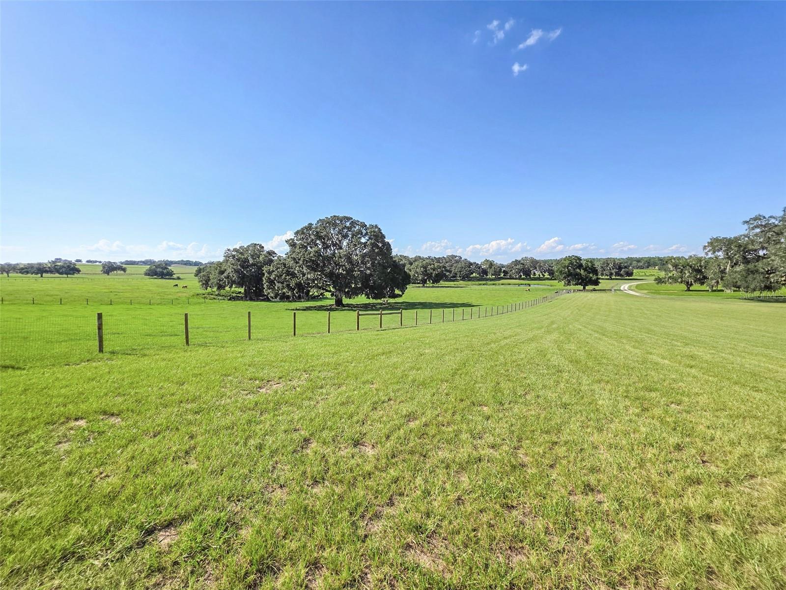 23220 NW 27th St, Morriston, FL 32668