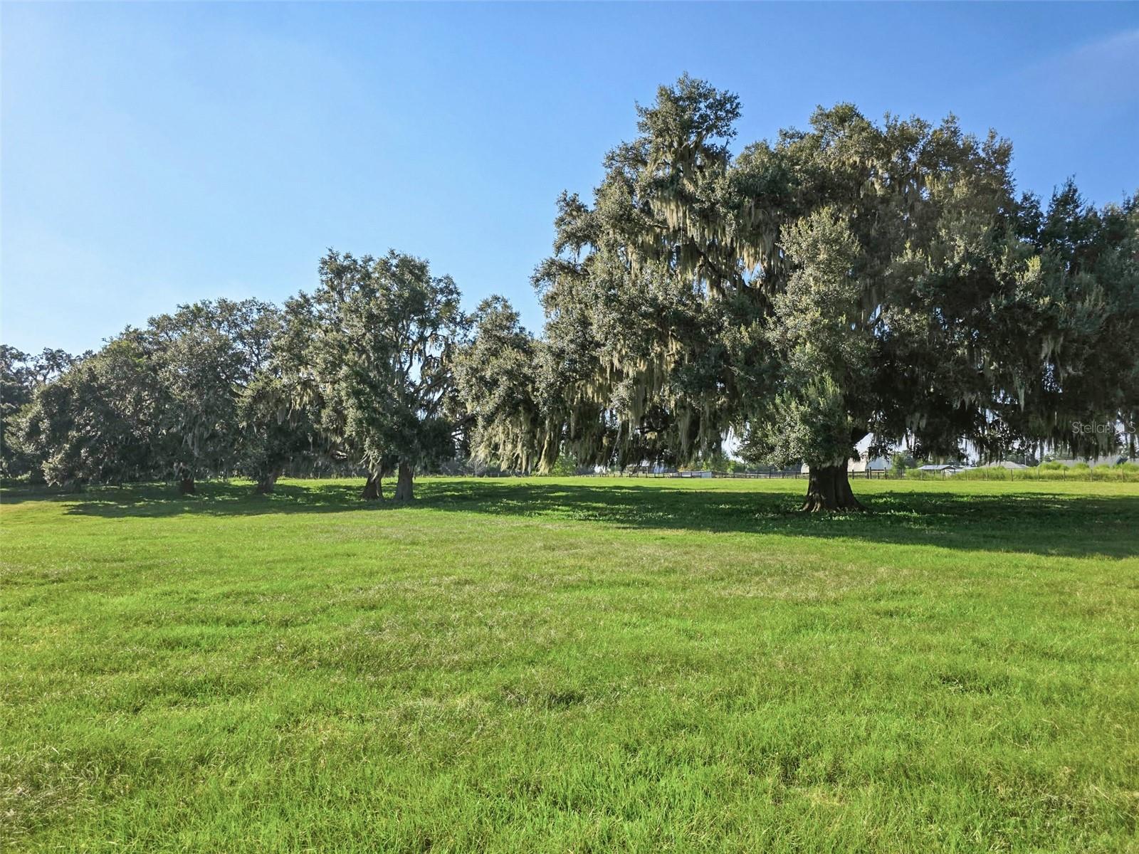 23220 NW 27th St, Morriston, FL 32668