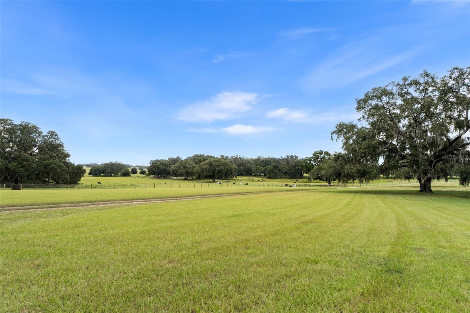 23220 NW 27th St, Morriston, FL 32668