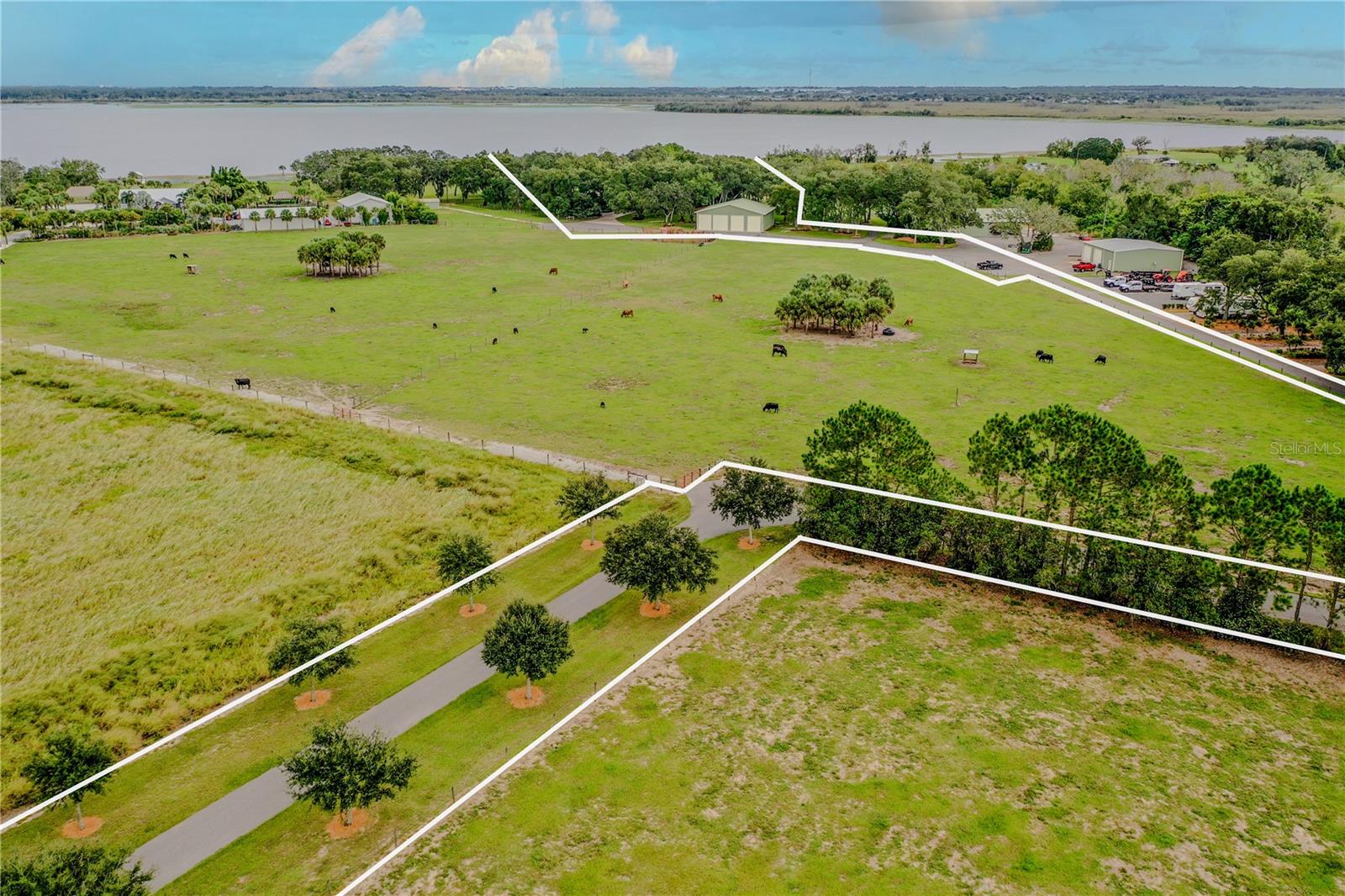 8006 Lake Lowery, Haines City, FL 33844