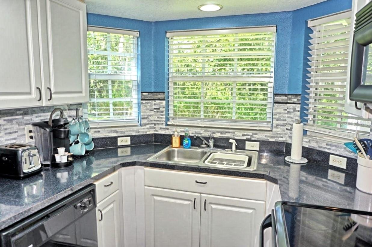 21107 Fountain View Unit 5102, Lutz, FL 33558