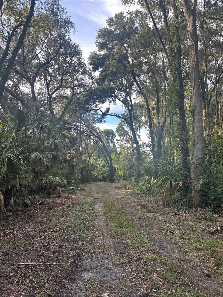 6661 Turner Camp, Inverness, FL 34453