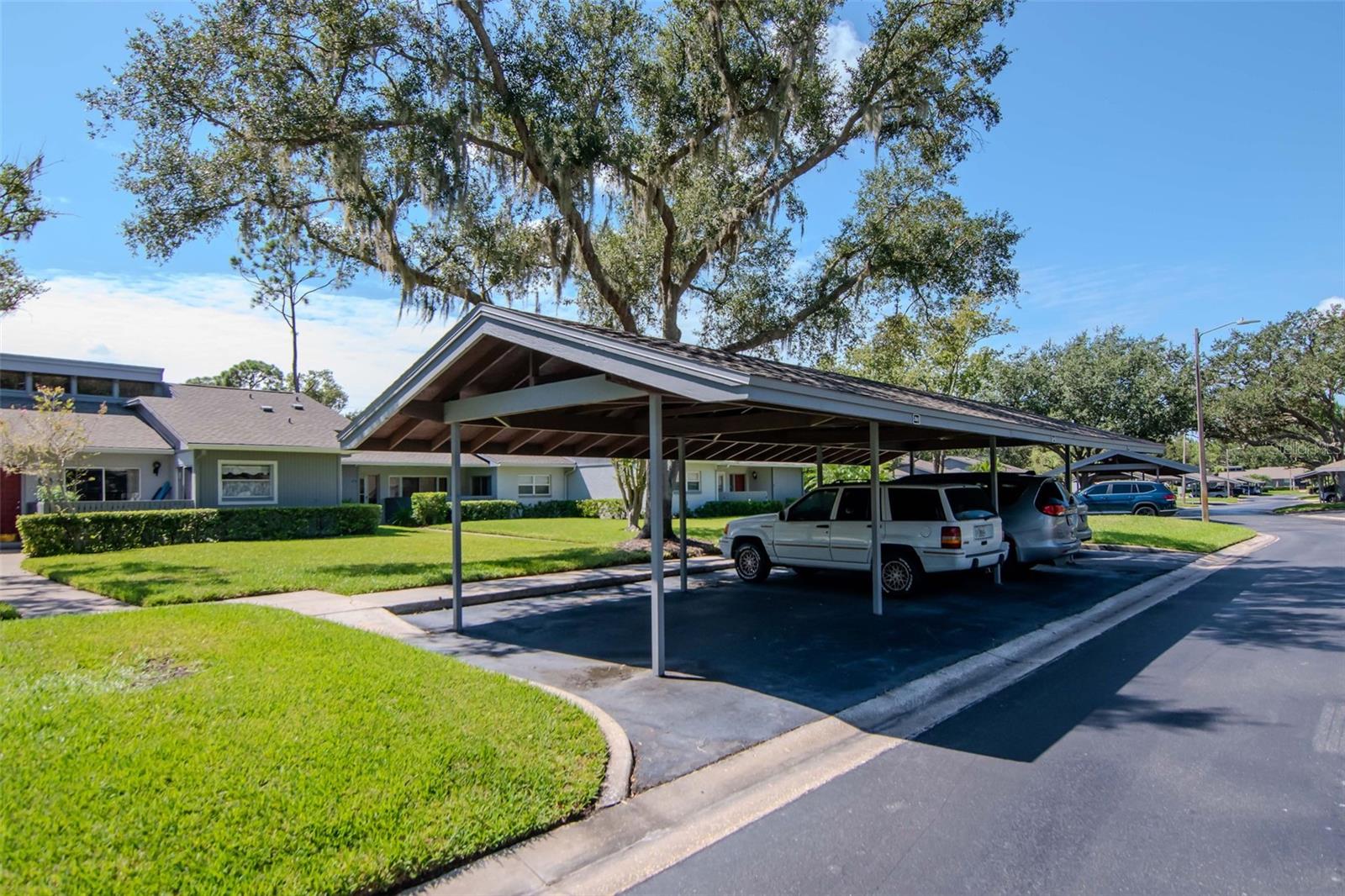 260 Balsam, Oldsmar, FL 34677