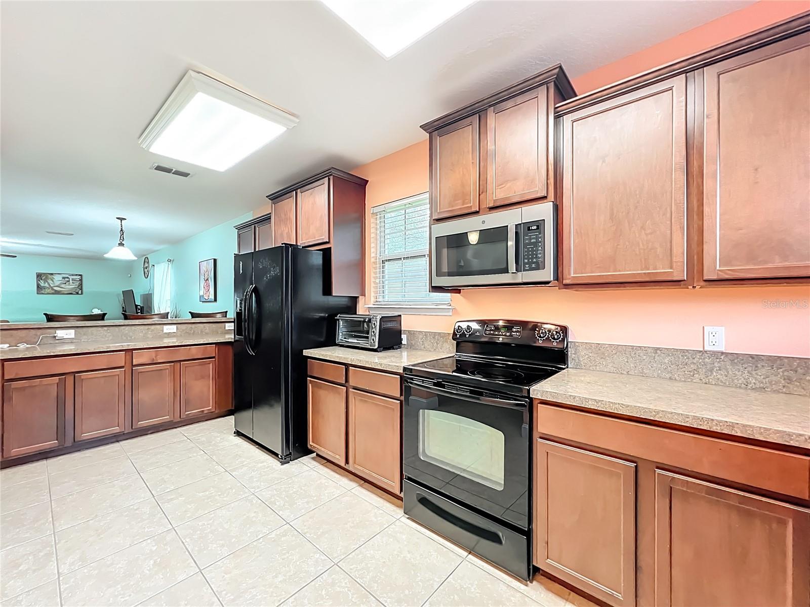 10100 Green Branch, Orlando, FL 32825