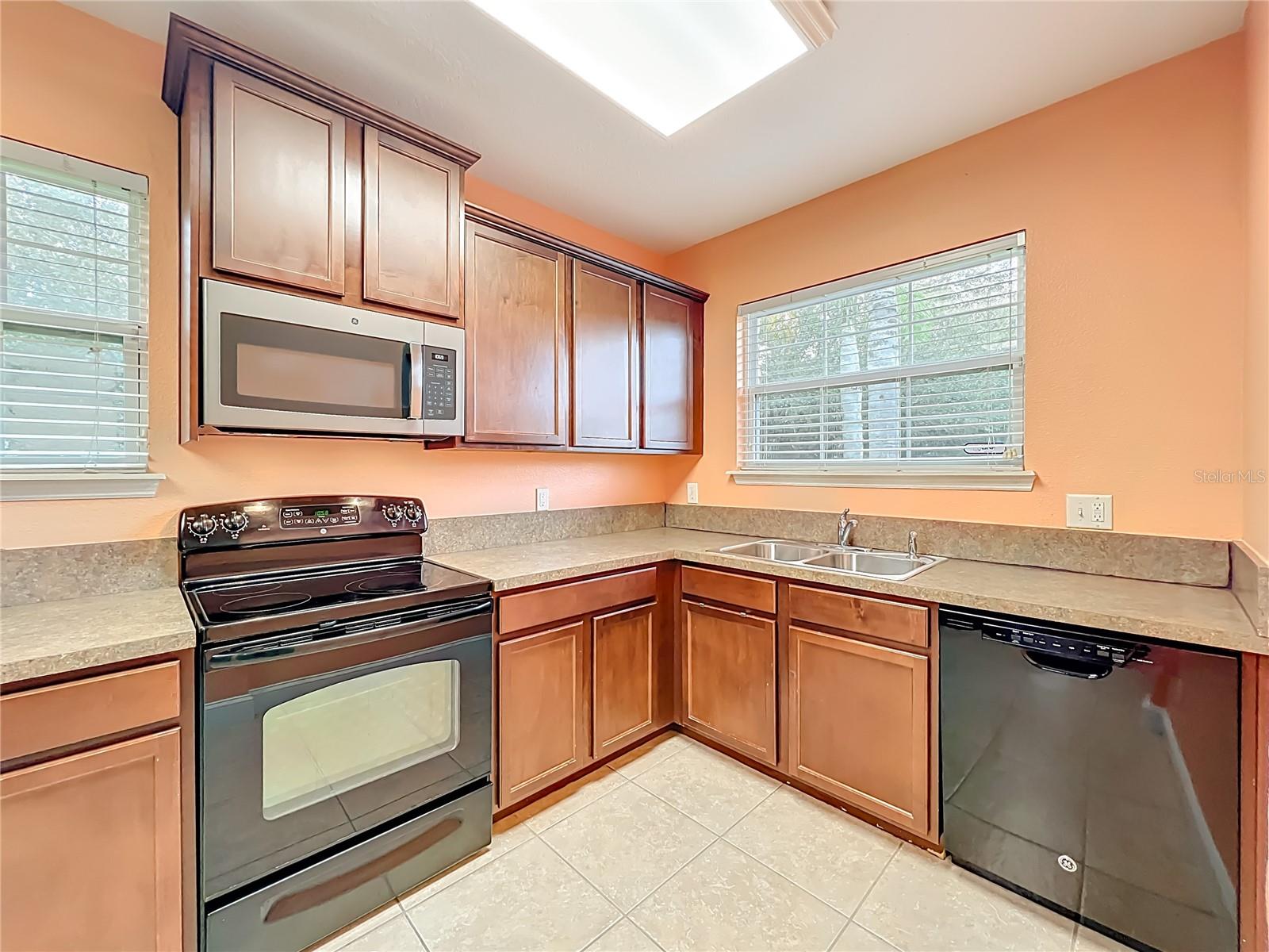 10100 Green Branch, Orlando, FL 32825