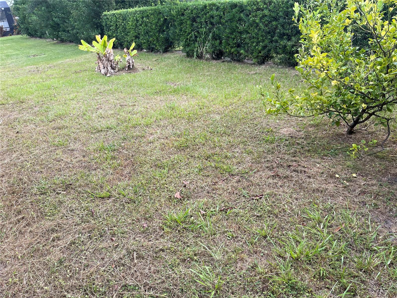 1312 Ralph Poe, Apopka, FL 32703