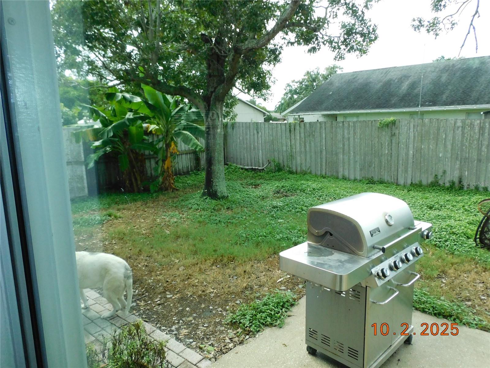 2542 Camphorwood, Kissimmee, FL 34744