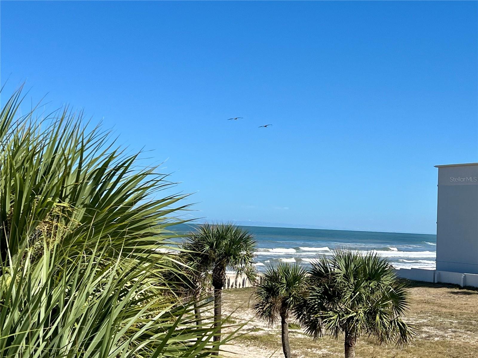 935 Atlantic Unit 303, Daytona Beach, FL 32118